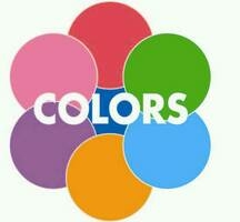 NPO法人COLORS